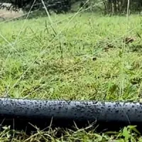 Rain Hose