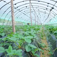 Greenhouse Film