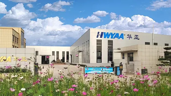 About HWYAA