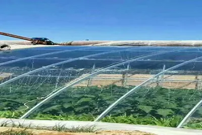 Greenhouse Film