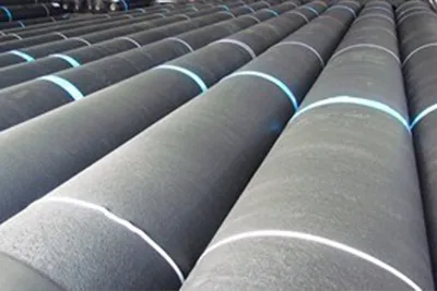 Geomembrane Film