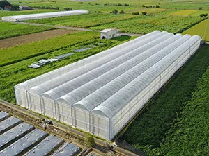 Greenhouse Film