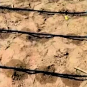 Uniform irrigation